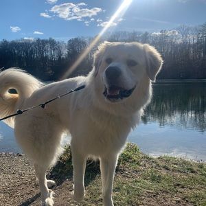 Meet your Posher, Kristen